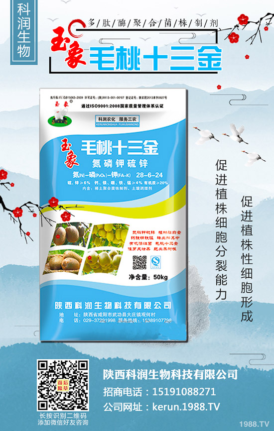     2019-10-30最新二銨價格行情動態(tài)評述，多少錢一噸？