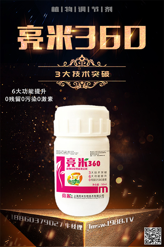 穿心蓮有哪些生長(zhǎng)習(xí)性？穿心蓮葉的種植技術(shù)！