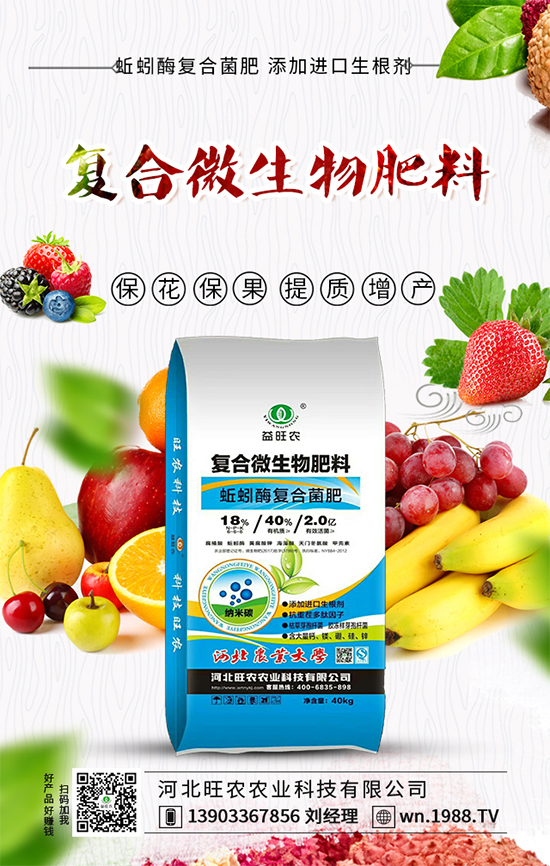 芥菜種子怎么播種？ 芥菜的種植方法！