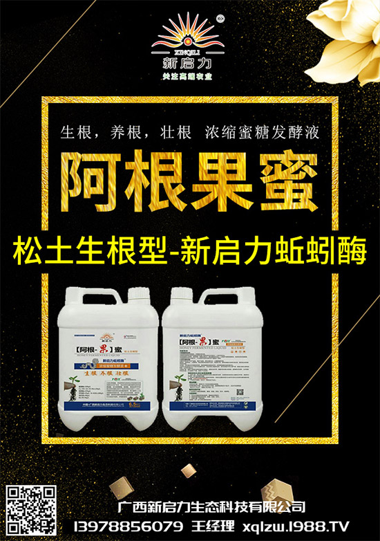 甘藍(lán)黑脛病有哪些危害？秋甘藍(lán)病害的發(fā)生與防治技巧