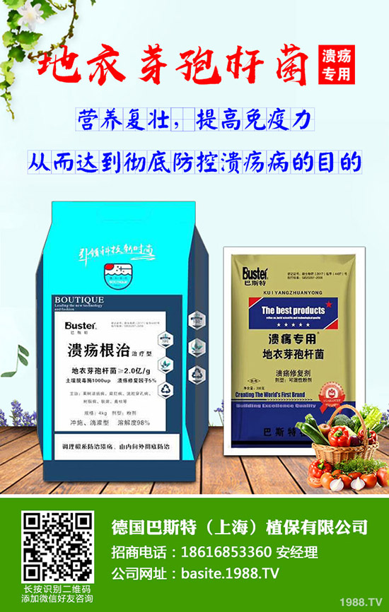 今日國內(nèi)各地磷銨最新報(bào)價(jià)及行情分析早報(bào)2019-10-9