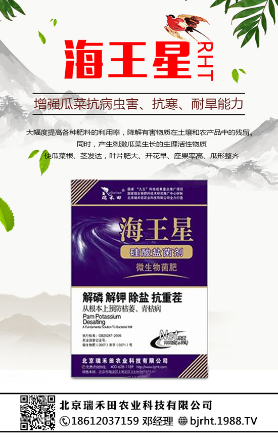 2020年種植火龍果賺錢嗎？火龍果的種植前景怎樣？