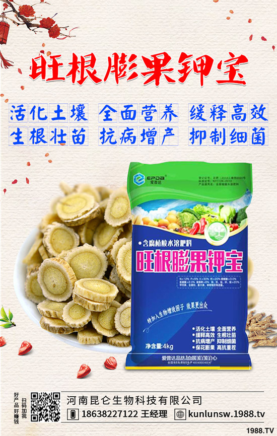 高粱什么時候種植，高粱田間管理技術(shù)有哪些？