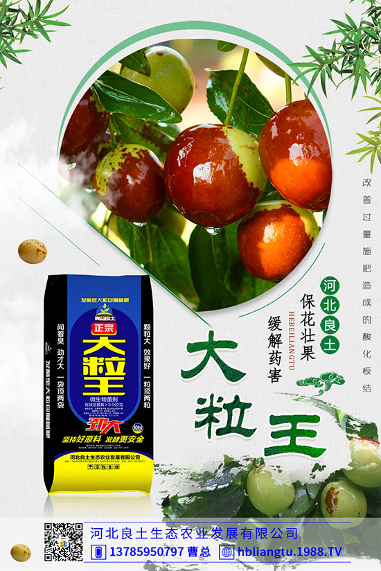 甜瓜落花落果原因有哪些？甜瓜如何提高座果率？