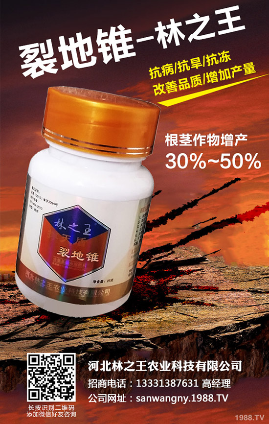 苦瓜裂果是怎么回事，苦瓜裂果防治措施！