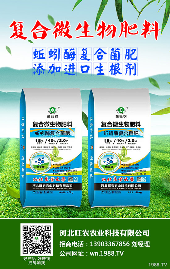 吃菠蘿蜜有什么好處，菠蘿蜜的功效與作用有哪些？