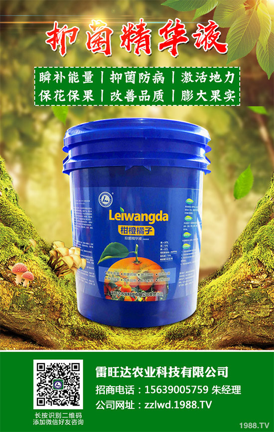 2020年種植水稻能掙錢嗎？2020年水稻種植前景