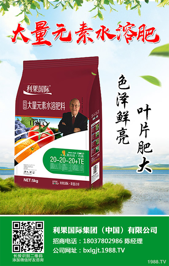 2020年種植水稻能掙錢嗎？2020年水稻種植前景