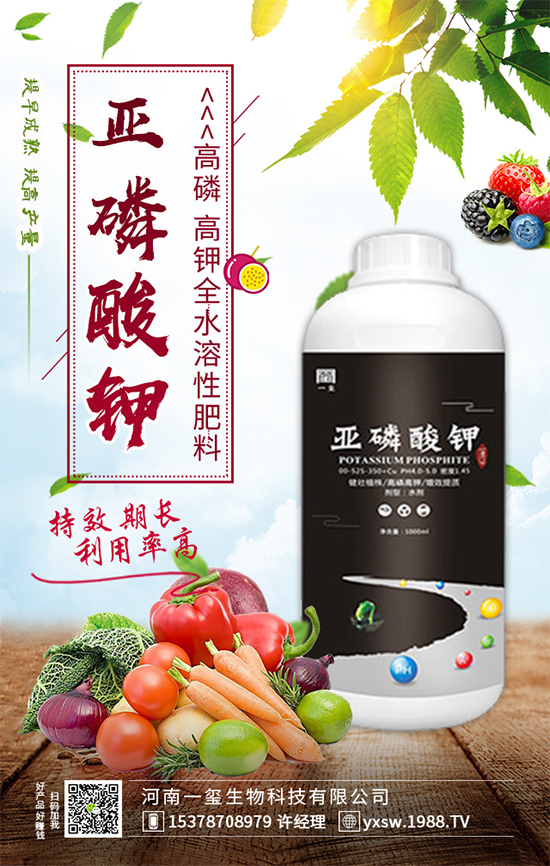 黃瓜畸形有哪幾種？黃瓜尖嘴瓜發(fā)生原因及預(yù)防措施！