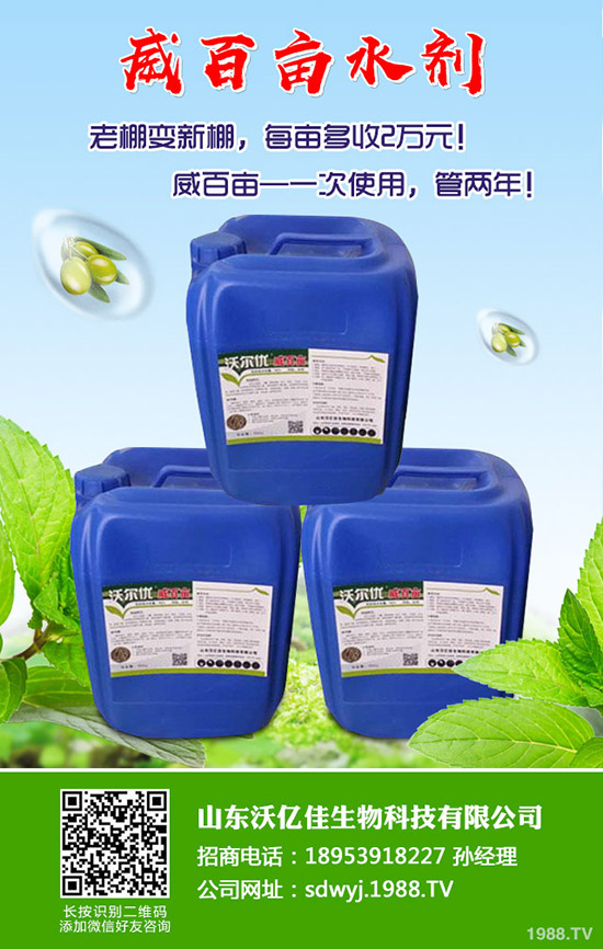 甜瓜什么時候種植？甜瓜怎么種植能高產(chǎn)？