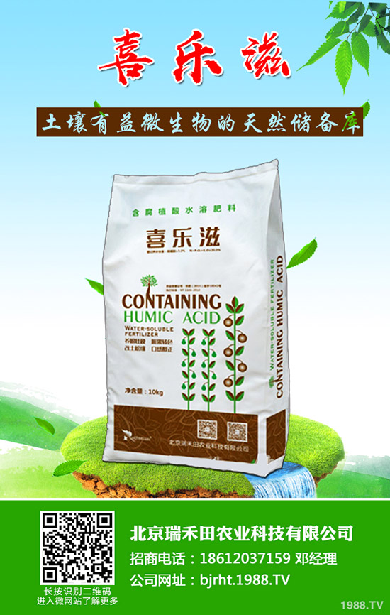 怎樣才能種好豆角呢？豆角的種植管理技巧！