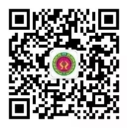 2019�����ʮ���ȫ��(gu��)ֲ���p����(hu��)����չ��ͨ·��(xi��n)�D