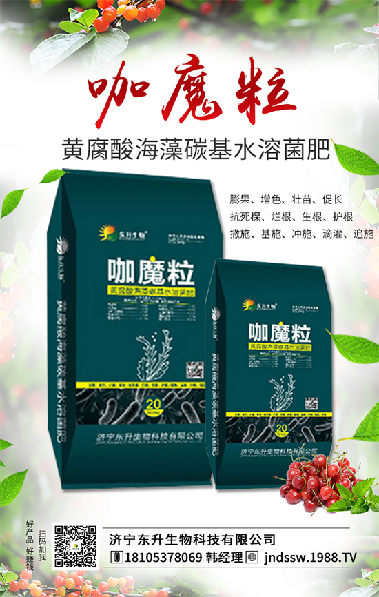 大棚草莓旺長的原因，大棚草莓旺長解決措施