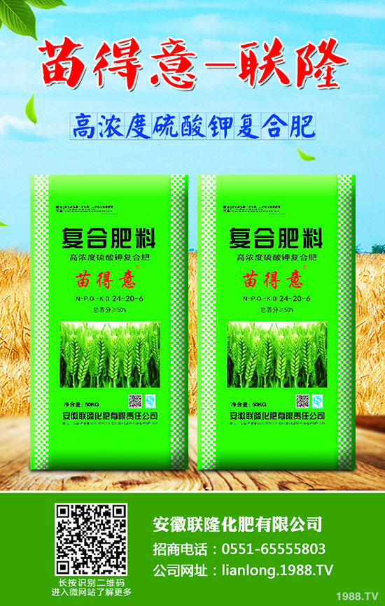 吃牛蒡?qū)ι眢w有什么好處？牛蒡的營(yíng)養(yǎng)價(jià)值及功效!