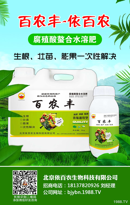 紅薯什么季節(jié)栽種，如何能將紅薯栽種好？