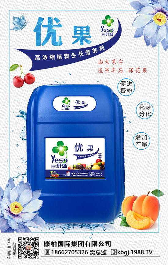 康柏國際集團(tuán)有限公司