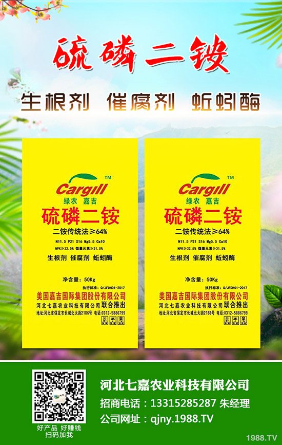 苦瓜白粉病的發(fā)生原因有哪些？苦瓜白粉病如何防治呢？