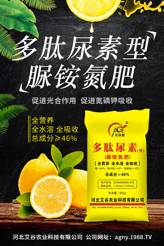 山藥種植時間，山藥種植技術(shù)與栽培管理