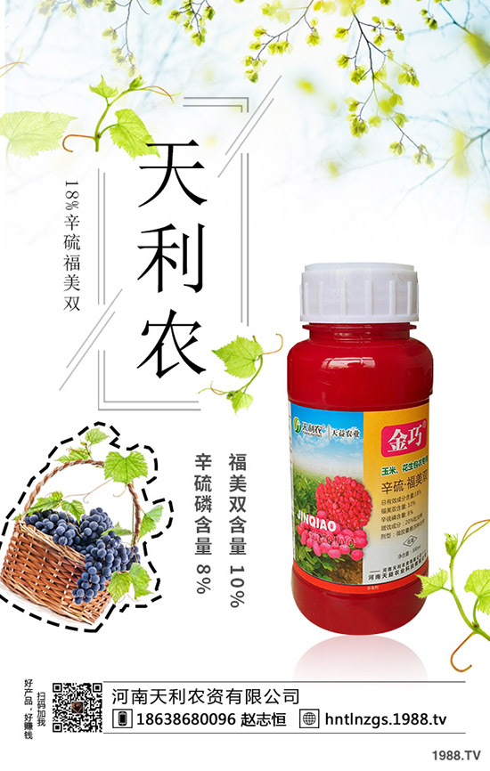 冬棗縮果病是咋回事？冬棗縮果病發(fā)病癥狀、原因和防治措施！