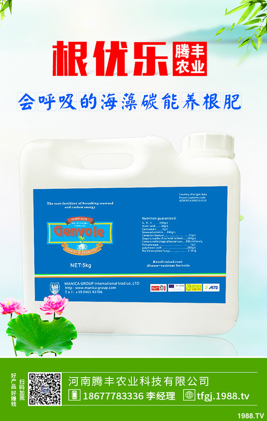 石榴褐斑病導(dǎo)致發(fā)黃落葉怎么辦？石榴褐斑病的防治要點！