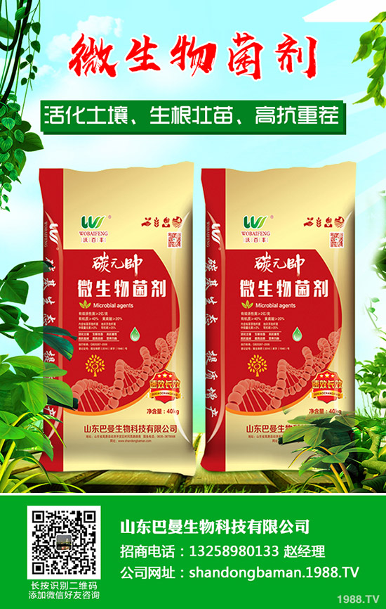     復(fù)合肥行業(yè)拓開新市場！2019年11月下旬復(fù)合肥行情走勢分析！