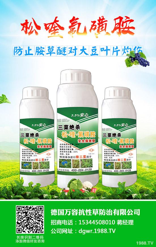 黃豆什么時(shí)間種植，黃豆的種植方法有哪些？