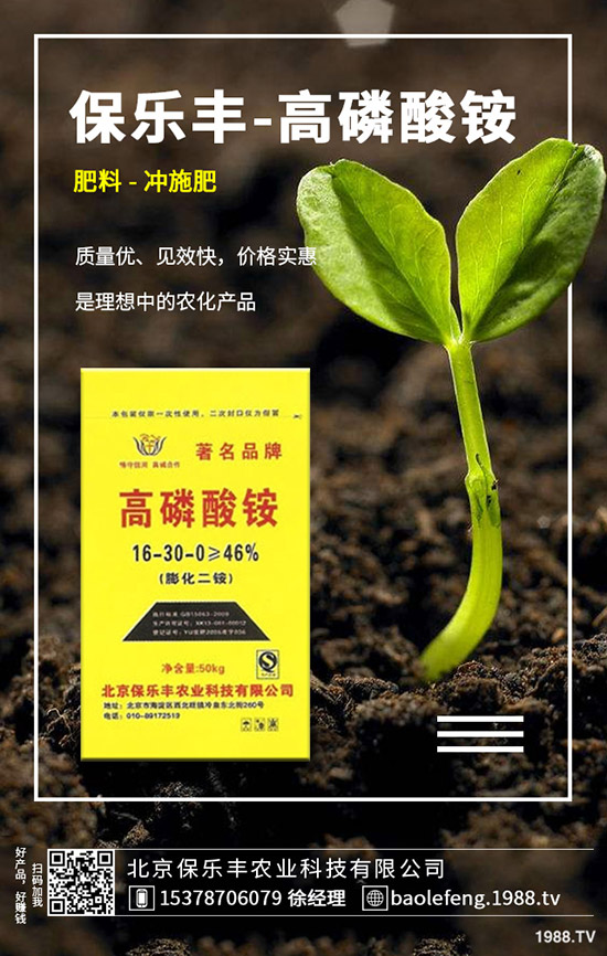 蘿卜病毒病發(fā)生規(guī)律有哪些？蘿卜病毒病防治要點(diǎn)！