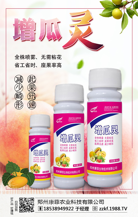 大棚南瓜怎么種植？大棚南瓜的種植中要點(diǎn)！