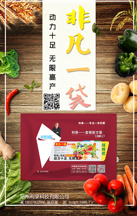 冬天大白菜如何儲存？冬季大白菜保鮮方法