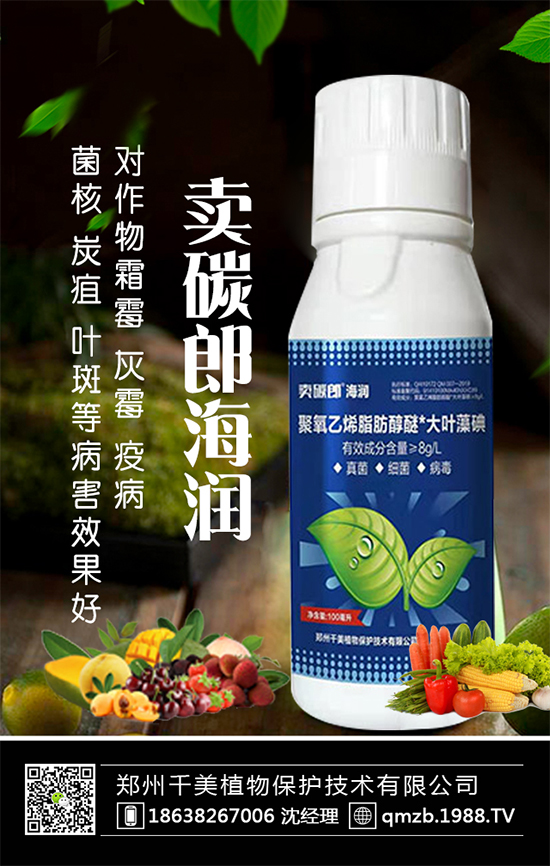 蘆筍什么季節(jié)種植？蘆筍常見(jiàn)病蟲(chóng)害及防治！