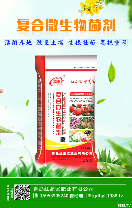 哪些地方適合種植白皮松？白皮松栽培技術(shù)管理