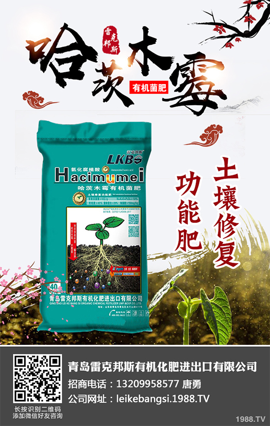 哪些地方適合種植白皮松？白皮松栽培技術(shù)管理