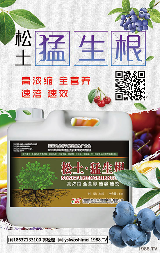 柿子有哪些功效和作用？柿子的食用禁忌！