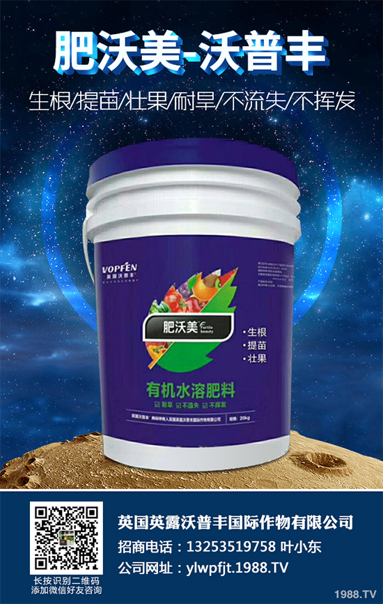 冬季能移植白皮松嗎？白皮松冬季移植攻略