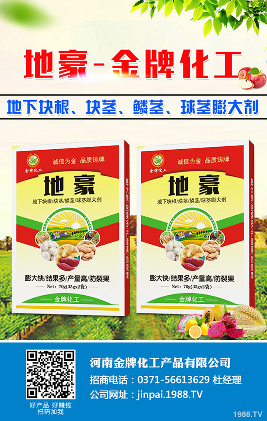 菠菜什么時候種更合適？菠菜種植技術(shù)和時間！