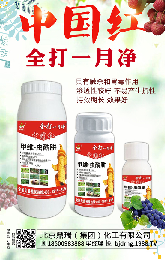 北京鼎瑞(集團(tuán))化工有限公司