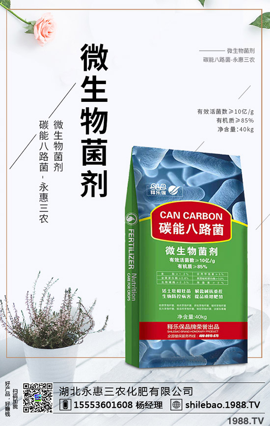     2020年野菜種植賺錢么？一畝能掙多少錢？種植效益如何？