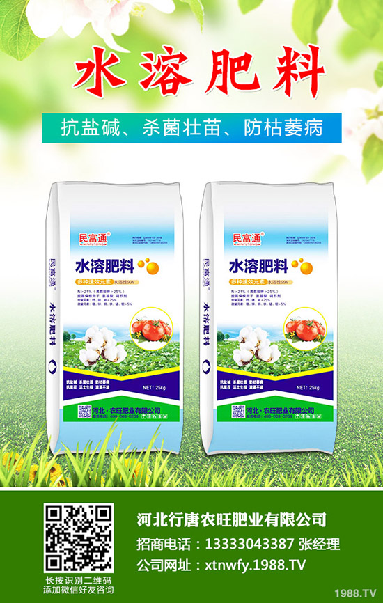 苦瓜得了白粉病怎么辦，苦瓜白粉病綜合防治