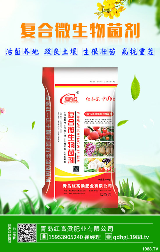 冬季辣椒怎樣育苗？受凍怎么辦？辣椒苗防凍解凍措施及移栽事項(xiàng)！