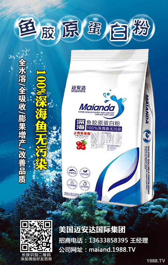     干辣椒價格多少錢一斤？2020年干辣椒行情如何？