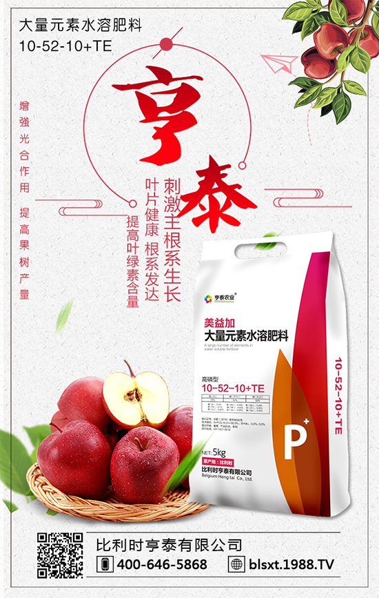 白菜多少錢(qián)一斤？2020年種植前景怎么樣？	