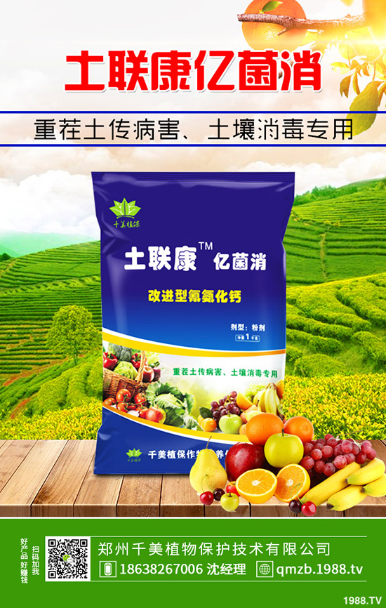     尿素跌出今年價！近期最新尿素行情綜合分析2019-11-4