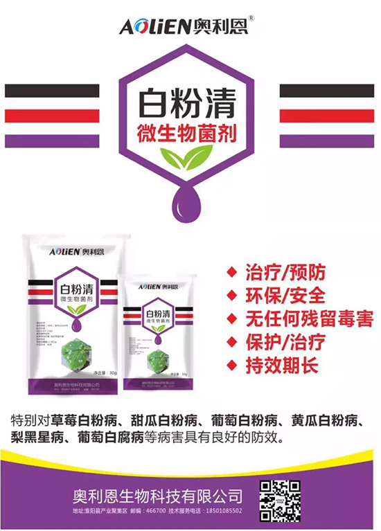白粉病“反復(fù)難纏”？ 記住這個(gè)藥，高效防治白粉病，鏟除！