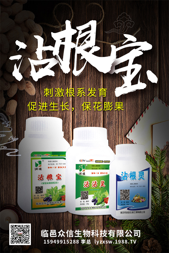 大棚種植黃瓜優(yōu)質(zhì)高產(chǎn)管理，肥料需要這樣施！