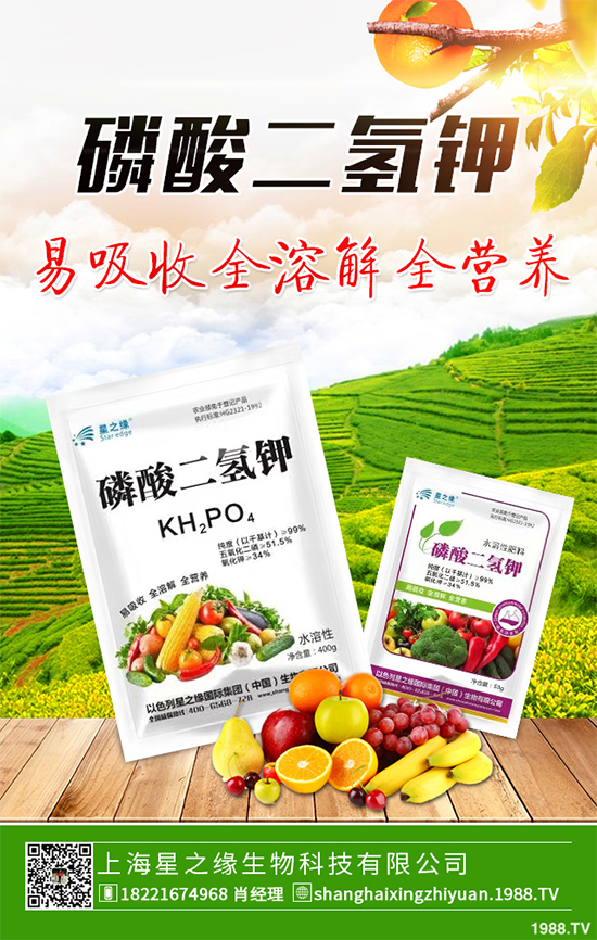 花椰菜花球出現(xiàn)異常是什么原因？該如何解決？快來看看吧！