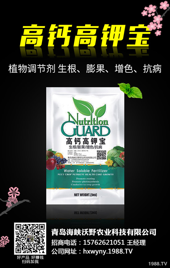 油葵種植前需要準(zhǔn)備哪些工作，油葵種植技巧有哪些？