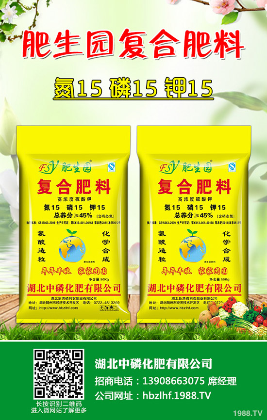     奶油草莓什么時間上市？一年可以結(jié)幾次果？主要產(chǎn)地在哪里？