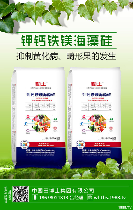     2019年11月8日最新鉀肥行情走勢預測，氯化鉀出廠報價一覽