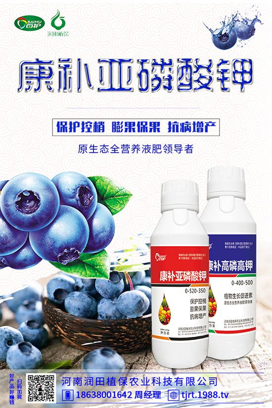 朝天椒什么播種？朝天椒的種植方法及病蟲害防治