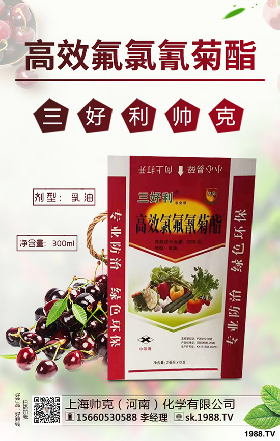 蒜黃一般是什么時(shí)間播種，蒜黃的種植技巧有哪些？